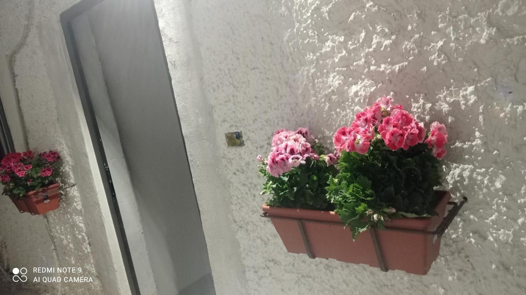 Willa Ortensia C House Katania Zewnętrze zdjęcie