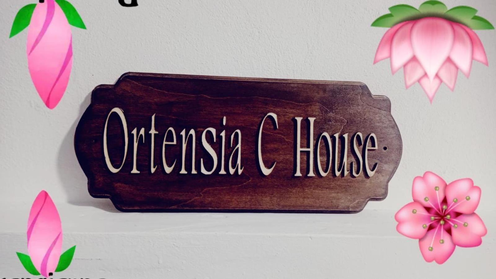 Willa Ortensia C House Katania Zewnętrze zdjęcie